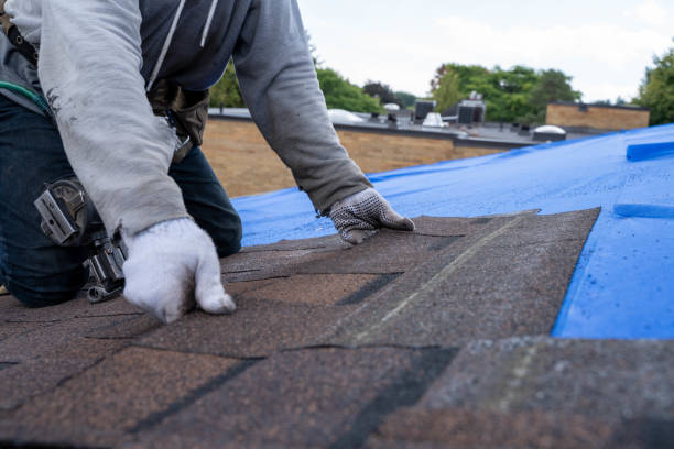 Gutter Installation and Roofing in Atlanta, TX